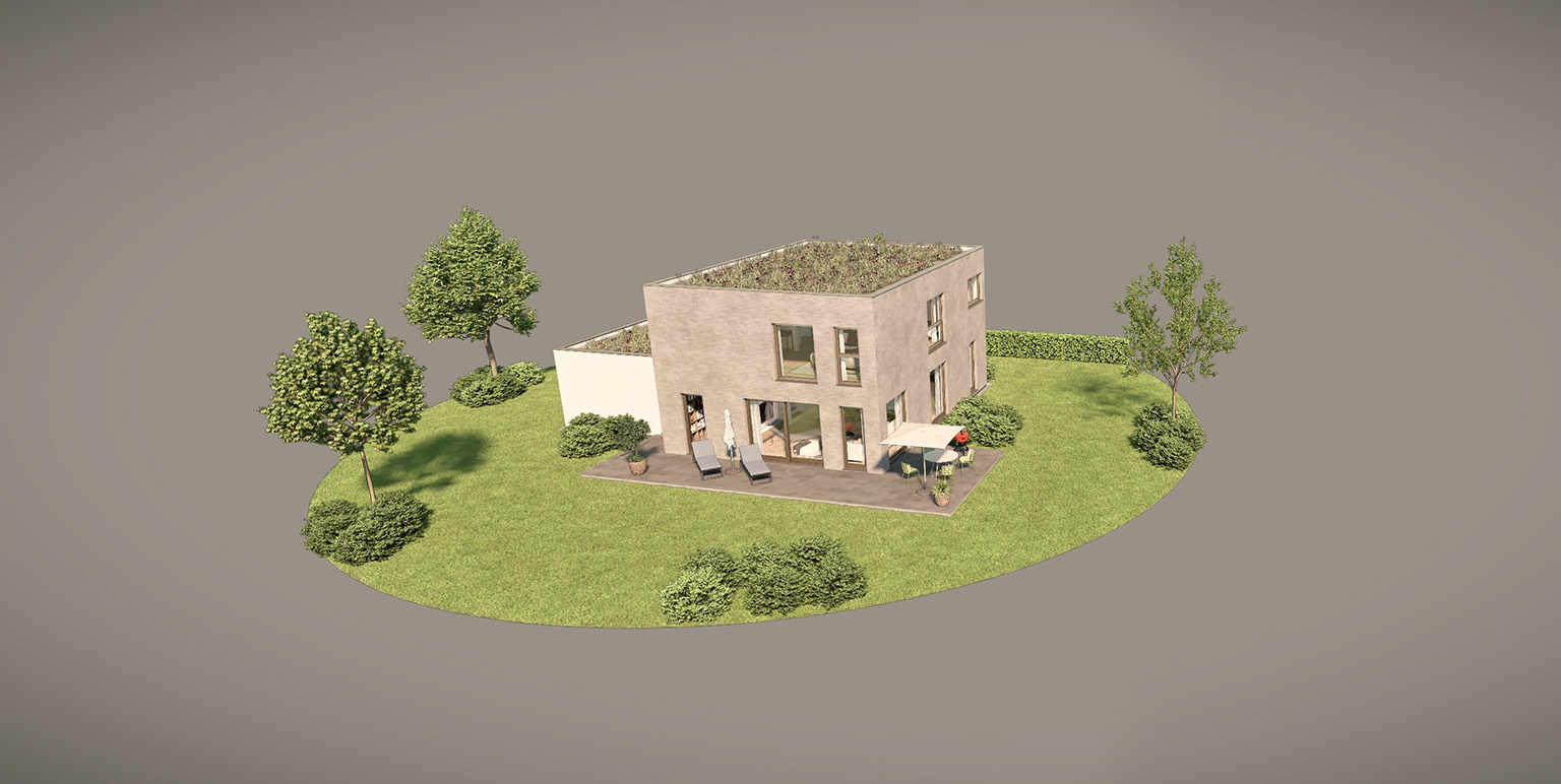 Single Family Home Demo